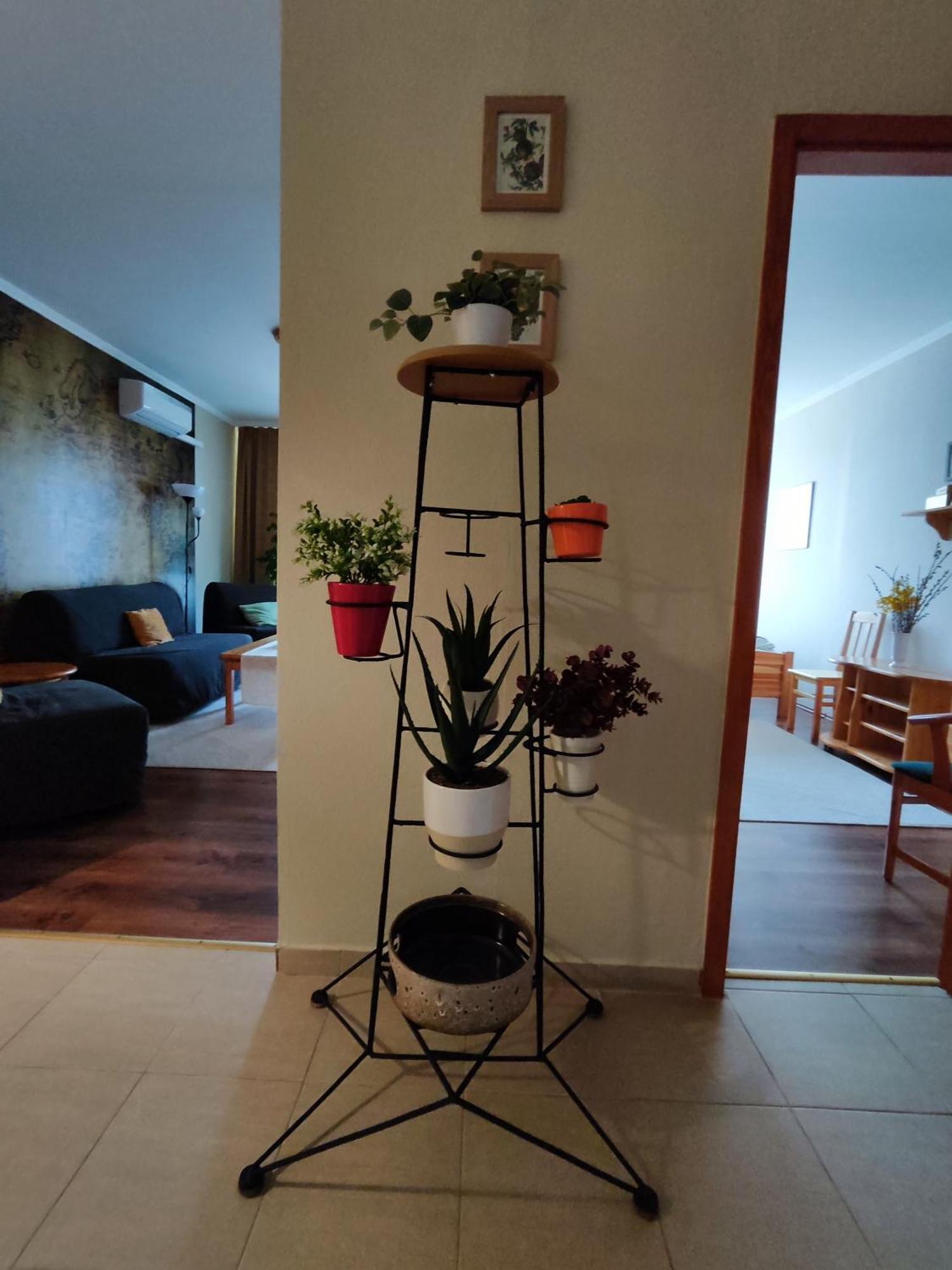 דירות Mezőkövesd St. Benedek Apartmanlakas מראה חיצוני תמונה
